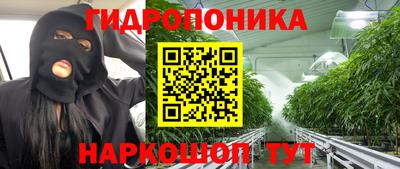 СК Можга