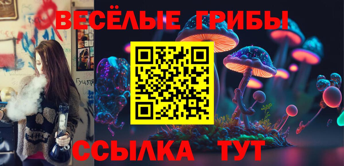 Галлюциногенные грибы Psilocybe  Псилоцибиновые грибы мухоморы  Орск  Вход с VPN 